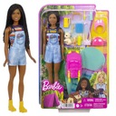 Sada kempingových bábik BARBIE Brooklyn HDF74