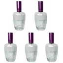 Sklenená fľaša Goya Violet Set 5x100ml