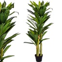 UMELÝ STROM DRACENA 120 CM STROM DRAKA