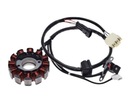 Stator Magneto 12 Coils Vespa Lx 125 150 09-1