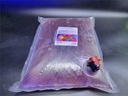 Červený morský fytoplanktón 3L Porphyridium BAG