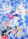 Bishoujo Senshi Sailor Moon bssm_046 A2 (vlastné)