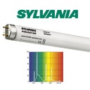 Žiarivka Sylvania AQUASTAR 45W T5 895mm 2826