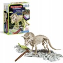 TRICERATOPS FOSSIL DINOSAUR SHINE SHINE CLEMENT