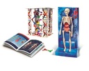 Clementoni Scientific Fun Human Body Set 60249