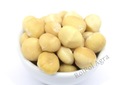 Makadamový orech, Macadamia (Style 1S) 1kg