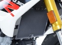 KRYT RADIATORA RG BMW G310R/G310GS TITANIUM