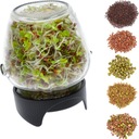 TWIST OFF SPROUTERS SEEDS 5 ks, JAR