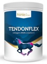 Regenerácia šliach HorseLinePro TendonFlex 900g