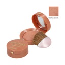 BOURJOIS BLUSH 2,5G 03 HNED