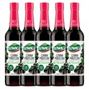 Łowicz Ovocný sirup z čiernych ríbezlí 5x 400ml