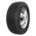 1x RoadX 195/55R15 RXFROST WH01 85H FR 2023