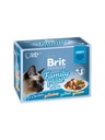 BRIT POUCH CAT GRAVY FILLET FAMILY TANIER / Filety v omáčke 1020g (12x85)