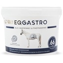 EQGASTRO 4kg - PROTI VREDU PRE KONE!AKCIA!