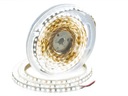 LED pásik 9,6W/m IP20 6000K studený 600lm