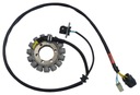 ALTERNATOR COIL Quad ACCESS 750i OEM!