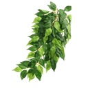 Exo Terra Ficus Medium - Stredná teráriová rastlina EX-0407