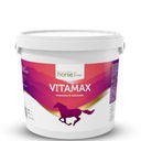 Vitamíny a minerály HORSE LINE Vitamax 5000g