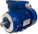 ELEKTROMOTOR 0,55kW 230/400V 1370 ot./min., 3-F.