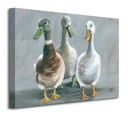 Obraz na plátne Louise Brown Three Ducks 50x40 cm