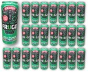 24 x FRUGO Wild Punch Energy MOJITO 330ml