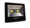 HALOGÉNOVÁ LAMPA LED SVETLOMET 100W 2x COB LED