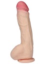 Dildo-DIONISOS-LOVECLONEX 9,5