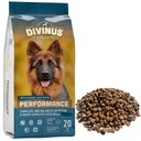 Divinus Performance PRE OVČIARSKYCH PSOV 20 kg