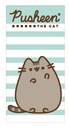 Osuška mačka mačiatko PUSHEEN vodný melón 70X140