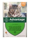 BAYER ADVANTAGE CAT 0,4 ML (AŽ 4 KG) - 1 KS.