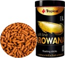 TROPICAL Soft Line Arowana L 250ml/80g Potrav