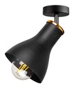 STROPNÉ LAMPY LOFT EDISON LED LUSTER