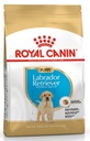 Šteniatko labradorského retrievera ROYAL CANIN 12kg