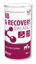 Vetfood BB Recovery Balance 500G