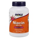 Niacín - Niacín /kyselina nikotínová/ 500 mg (250 tab