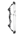 Target Compound Bow 50#