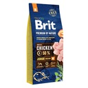 Brit Chicken Junior Medium M 15kg Kur