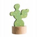 Craft Cactus Antikorózna rastlina Ornament