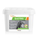 Yarrowia Equinox Gastro 1,5 kg na vredy