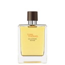 HERMES TERRE D'HERMES EAU INTENSE VETIVER 100 ml EDP FĽAŠA