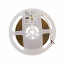 LED pás COB 4000K 5m 50W IP20