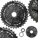 Kazeta Shimano Altus CS-HG31 8-rýchlostná 11-34