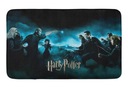 # KOBEREC 45x75 PDM HARRY POTTER 04 VZOR