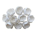 Papier FLOWERS LANDLUNCIES biely 15mm - 50 ks