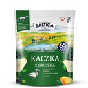 KAČICA BALTICA S HRUŠKOU M/L 1KG STREDNÉ A VEĽKÉ PLEMENO S ČIERNYMI RÍBEZLAMI