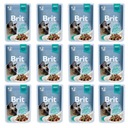 BRIT PREMIUM mokré krmivo hovädzie filety 12x85g