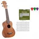 SHYINVIE DS SOPRANE UKULELE + Príslušenstvo ŠANCA!