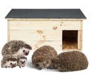 Hedgehog house hniezdo box pre ježka