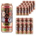 Frugo Wild Punch Gold Energy 330 ml x 24 kusov