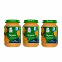 GERBER BIO Mango dezert s tekvicou a dulou 3x190g